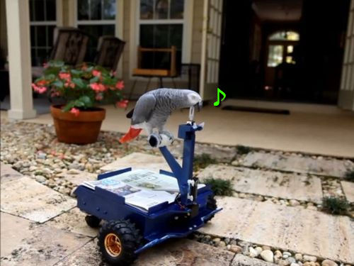 �Х���������