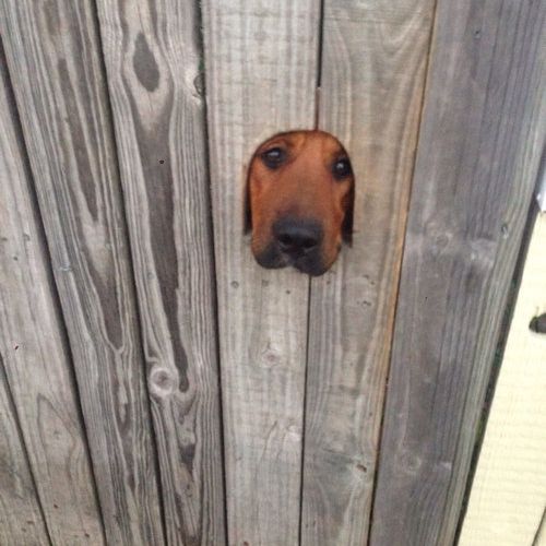 11じぃーーっ、気になる動物たち