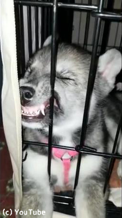 �ҥϥ������ο��餬�֤��㤫�襤��02