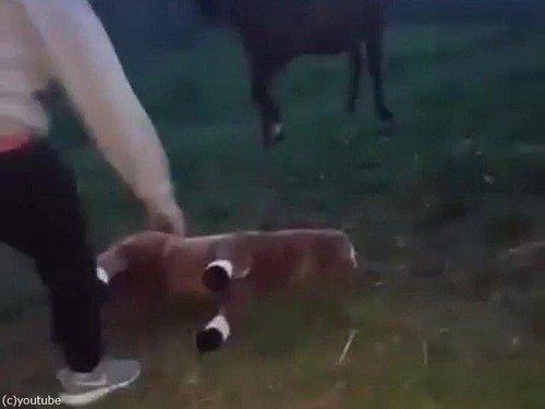 �ϤȤ̤�����ߤ���07