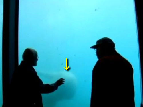 �򥯥ޤ������Ф�Ȥäƥ��饹����01