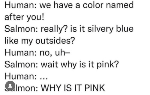 ������󤬿��¤��Τä���01