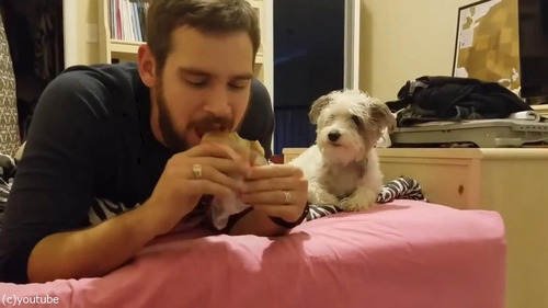 �ߤ����äƤ뤳�Ȥ򱣤���04