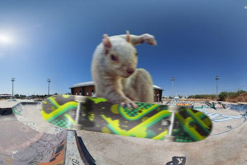 リス史上、最もクール08