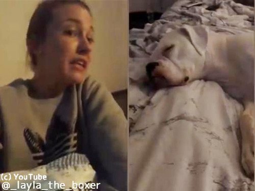 �������Ƥ���֤˥��ʥå��ۻҤ򿩤٤褦�Ȥ������00