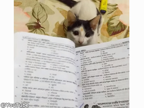 �����ơ�ǭ�Τ����ǥƥ����ٶ����Ǥ��ʤ���00