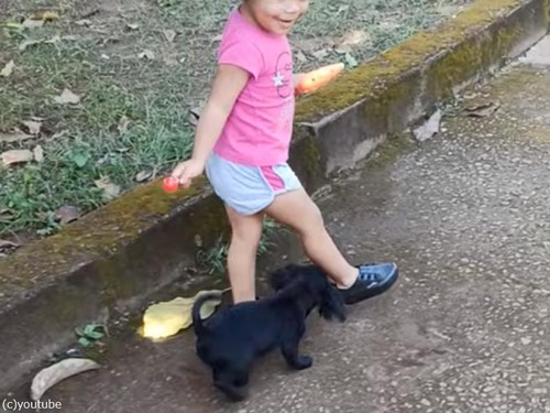 小さな女の子から飴玉を奪い取る子犬