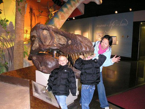 博物館を楽しむ達人03