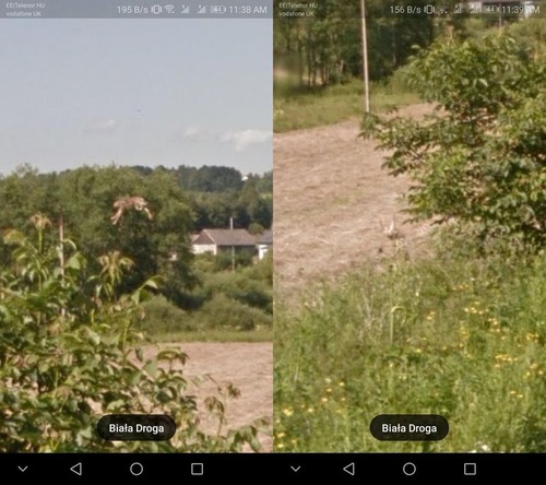 Googleストリートマップに写っていたウサギ03