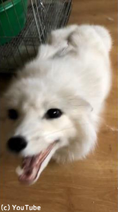 Ķ�Ͳ��ä������ĥͤ���03