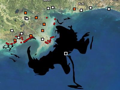 ����ή�л��� 41