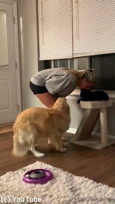 ¿ƬäѤļʤޤȥС01