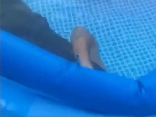 かくれんぼに本気の父親02