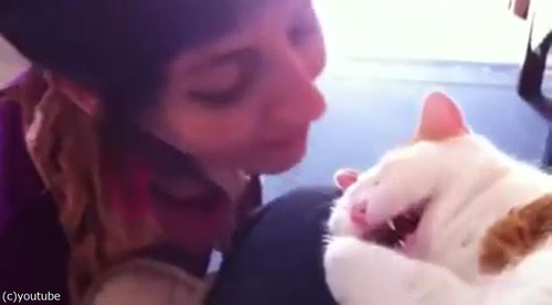 ����������Ĥ��Ʊ�����ǭ01