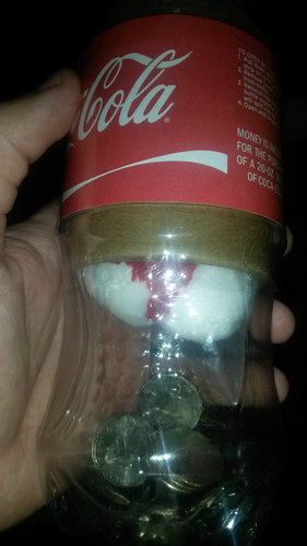 自販機でコーラを買ったら白クマ01