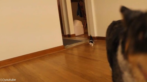 ǭ���֤���󡢵����Τ��줵��Ȥʤä��ָ��פθ���⤯05