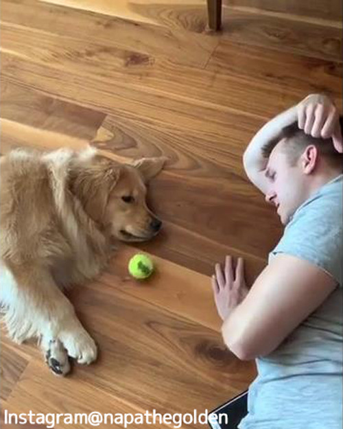 ����ʤˤ�뵤�Τʤ�����å��ܡ��븫�����Ȥʤ��ʾС�01