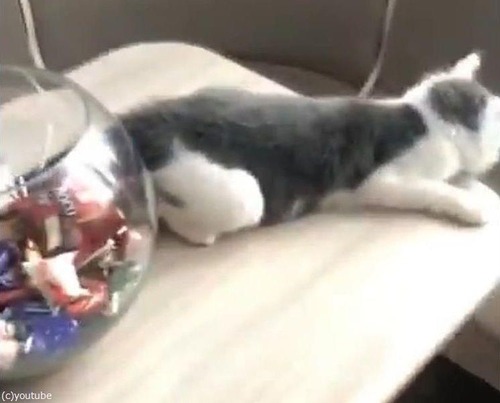 ��ǭ�����饹�ӤΥ����ǥ������餹��02