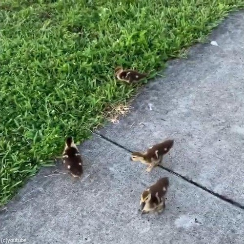 �ҥ�Ļ���������˰�������04