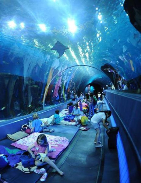 うらやましい11