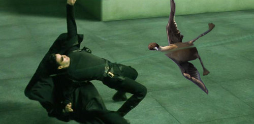 �ʹ������ޥ���15