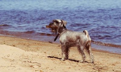 ������Ĺ27