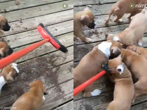 �ݽ��ȻҸ�����������02