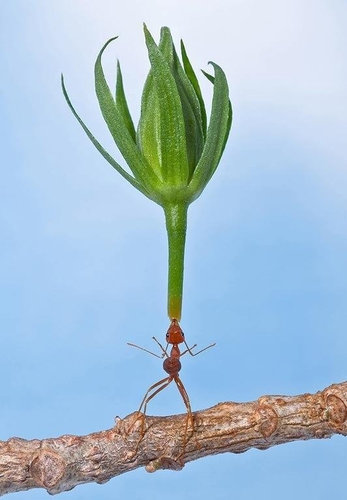 すごいポーズ07