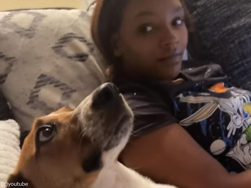 ジッと見つめてくる犬を見つめ返すと なぜか目を合わせない 動画 らばq