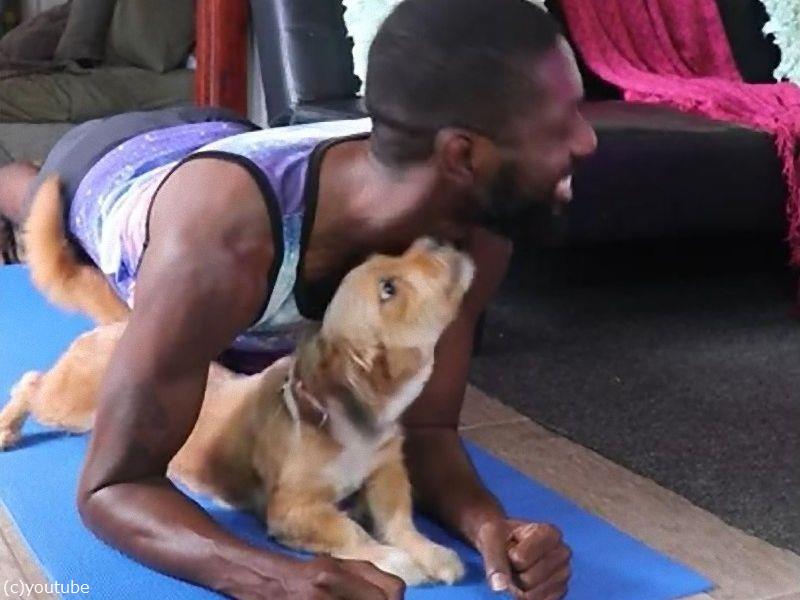 愛犬のいるところで筋トレは 難易度が高い 動画 らばq 愛犬のいるところで筋トレは 難易度が高い 動画 らばq
