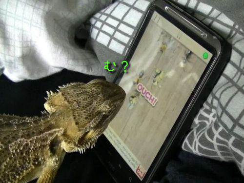 ゲームで遊ぶトカゲ