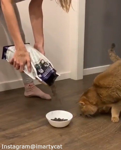 �Ԥ����Ԥä����Ϥ�λ���01