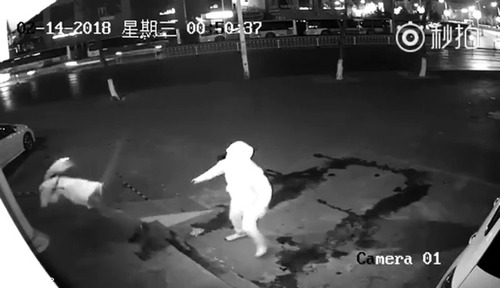 ダメな強盗のやり方05