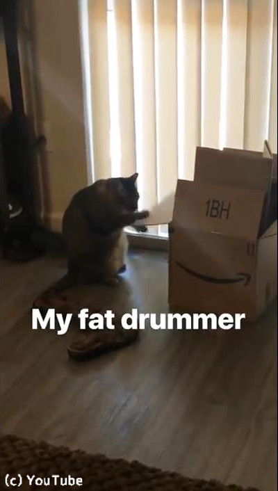 �����βİ����ɥ�ޡ�01