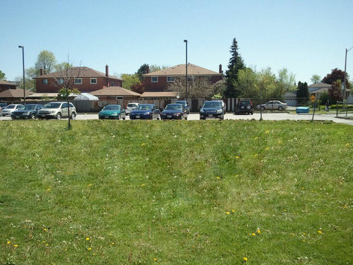 学校の花壇でやってみた07