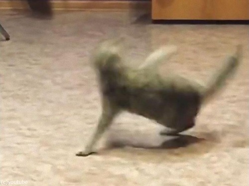 ���äݤ��ɤ������Ʋ�žǭ02