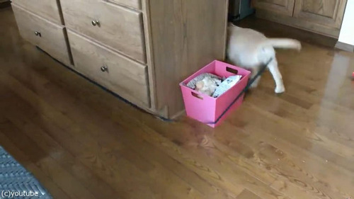 �Ȥ���Ǳ�ư���Ƥ���븤02