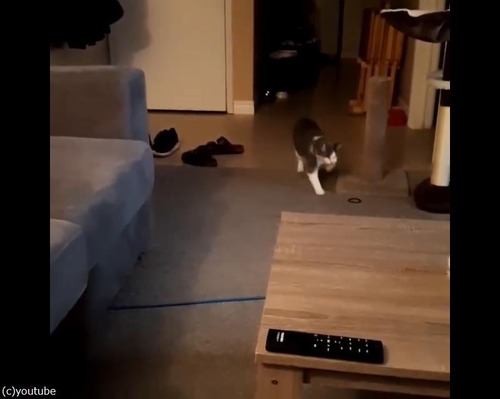 ǭ�֥Хͤ��繥���ʤ�Ǥ���05