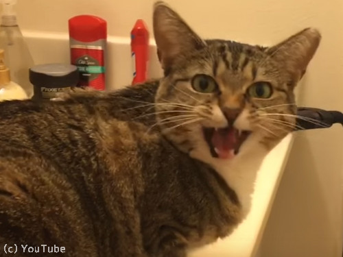 ��ʢ����������ʹ���Ȥ��ֻ�����ǭ��02