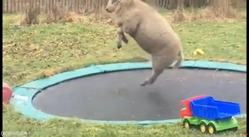 �ȥ��ݥ���ͷ����02