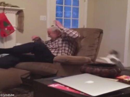 猫の前で死んだふりをしてたら…07