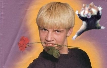 カンフー・ハムスター06