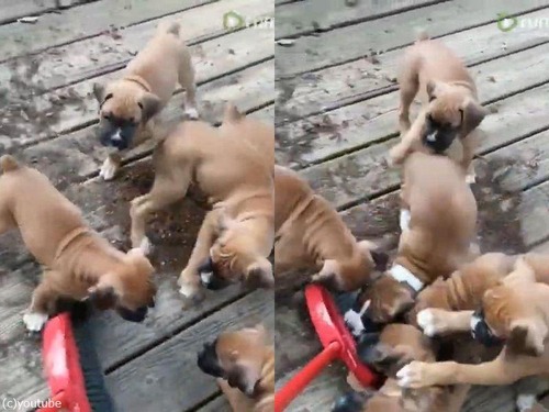 �ݽ��ȻҸ�����������01