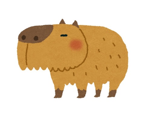 カピバラに似た岩