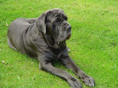 ������Ĺ18