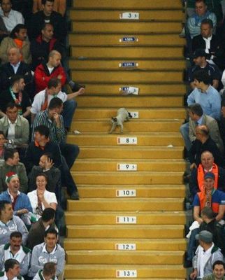 ���å����繥��ǭ05