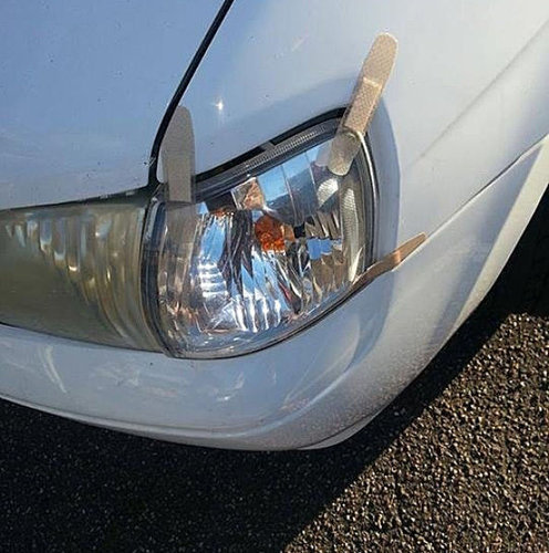 ワイルド・オーストラリア16