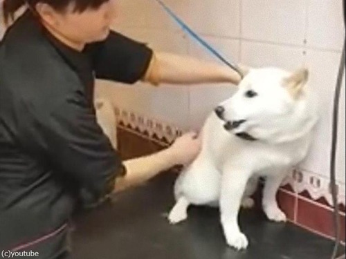 60�äǼƸ��ȿ�����ۤ��ȥ�ޡ�02