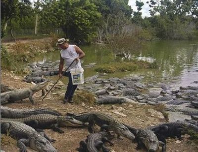 どうしてこうなった03