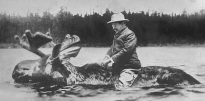 動物ライダー12